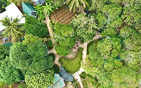Homestay De La Rosa - Con Dao